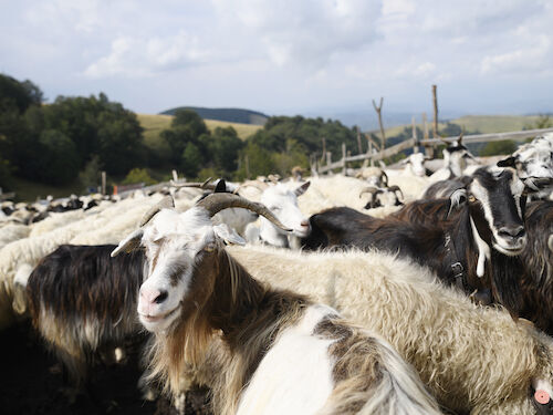 Besuch auf einer Stina